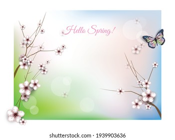 Blooming fruit tree spring background with a delicate beautiful butterfly. Vector illustration for web site design, banner, card, other.