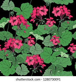Blooming geranium on a black background. Seamless vector pattern.