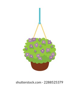 Blooming green plant in hanging pot isometric icon 3d vector illustration