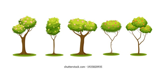 Blooming green trees. Spring red pink flowers on fruit trees spreading and fluffy summer crowns with natural beauty of surrounding vector nature.