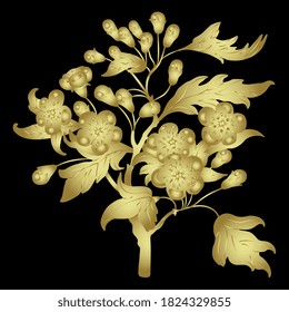 Blooming Hawthorn Branch With Leaves And Flowers. Golden Silhouette On Black Background.