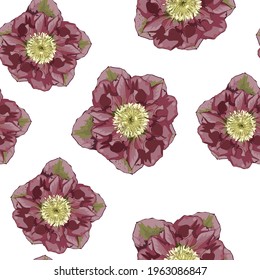 Blooming hellebore flowers. Floral seamless pattern. Helleborus niger. Winter rose. Christmas rose. Lenten Rose with leaves and bud. Detailed drawing watercolor style.