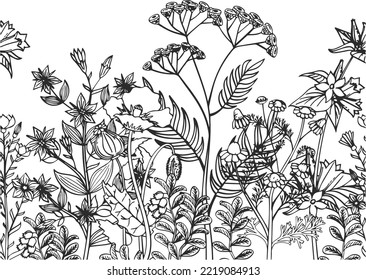 Ilustración botánica de hierbas florecientes. Fondo de plantas en crecimiento