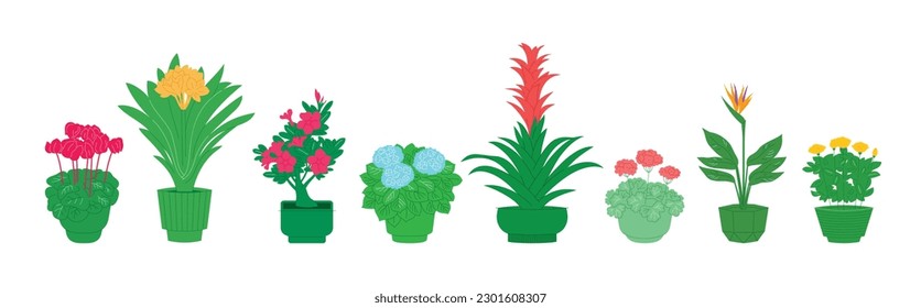 Blooming house plants, set of flat icons on white