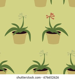 Blooming houseplant - vector background