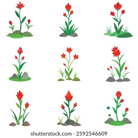 Blooming Indian Paintbrush flowers bundle vector illustration among the green grass and stone on a white background.
