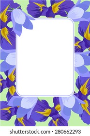 Blooming irises and bluebells. Romantic postcard invitation with floral background.