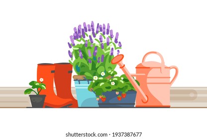 Cubo de hierro de lavanda floreciente, fresa en macetas, lata de agua y botas de goma para jardinería en el patio trasero o balcón. Ilustración vectorial