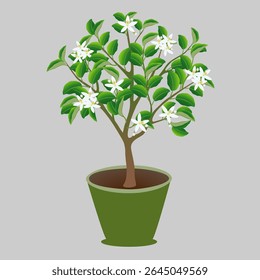 Blooming lemon tree in a pot on gray background.