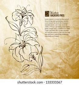 Blooming lilies over sepia background. Vector illustration.