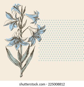 Blooming lily flower greeting card or wedding invitation design element
