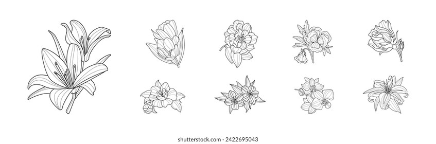 Blooming Linear Flower with Lush Petals Vector Set