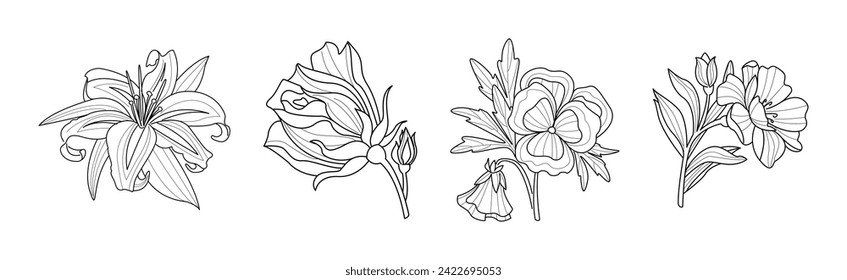 Blooming Linear Flower with Lush Petals Vector Set