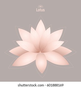 Blooming Lotus. Water Lily. Abstract logo symbol for yoga. Cream pink flower on light grey background. 