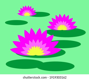Blooming lotuses on a green background. Vector illustration.