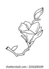 Blooming magnolia flower line art Contemporary floral design. Vector illustration