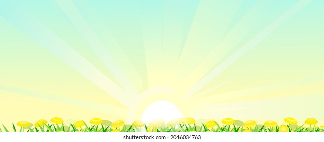 Blooming meadow with yellow dandelions and the rays of the morning sunrise. Big clear sky. Close-up side view. Rural cute grassy landscape. Handsome cool. Vector