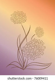 Blooming onion shallots on a brown background, vector illustration