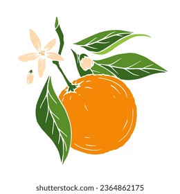 Blooming orange branch with fruits.Vector graphics.