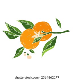 Blooming orange branch with fruits.Vector graphics.