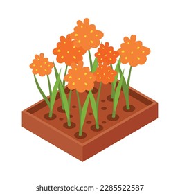 Blooming orange flowers on flowerbed isometric icon 3d vector illustration