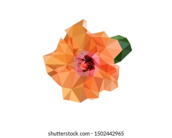 Blooming orange hibiscus (chinese rose, hawaiian hibiscus) with green leaves low polygonal design