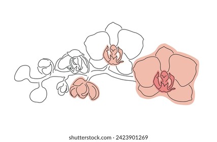 Blooming orchid branch in one line and spot, vector illustration for a postcard, banner, calendar.