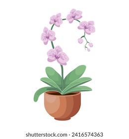 Blooming orchid flower in a pot. Plant care concept. Botanical illustration, decor element, vector