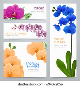 Blooming orchid plants 4 tropical botanic banners collection with exotic colorful flowers realistic isolated vector illustration  