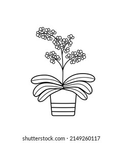 Blooming orchid in a pot. Vector illustration of a tropical flower doodle icon