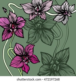 Blooming Orchids decorative background. Hand drawn flowers. Line art tropic flowers. Vector illustration.