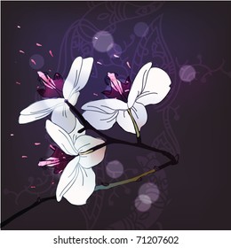 blooming orchids on a dark background