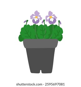 Blooming pansy in pot in flat cartoon design. Potted viola with purple blossoms in black plastic container from gardener market. Gardening and growing springtime flowers. Vector illustration