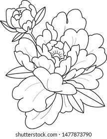 blooming peony flower vector work