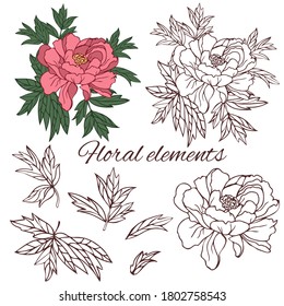 Blooming peony, monochrome contour on a white background.