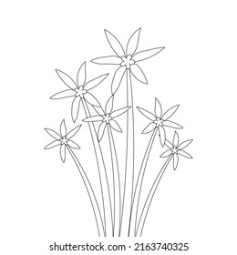 blooming petal of flower branch coloring book page element for kids drawing