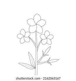 blooming petal with leaves flowers isolated coloring page drawing for kids