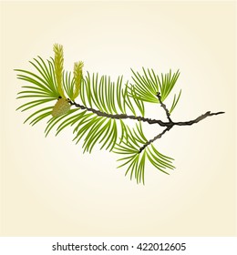 Blooming pine tree Branch natural background vector illustration