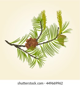 Blooming pine tree and pine cones branch natural background vector illustration