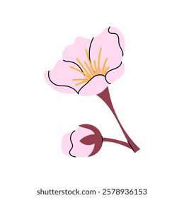 Blooming. Pink flower and bud. Hanami. Sakura flower of Japanese tree. Vector botanical element for spring festival. Flat illustration on white background.