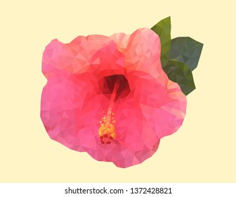 Blooming pink Hibiscus (Chinese rose, Hawaiian hibiscus) low polygonal vector