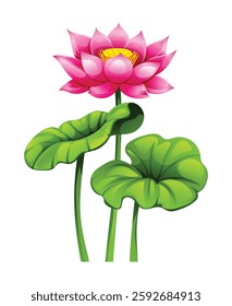 Blooming pink lotus flower with lotus pads. Vector cartoon illustration