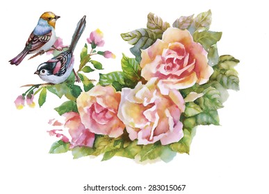 Blooming Pink Rose flowers with birds, watercolor vector illustration