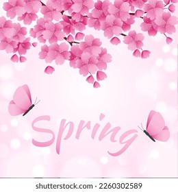 Sakura de primavera rosa floreciente, mariposas voladoras e inscripción caligráfica. Ilustración vectorial.