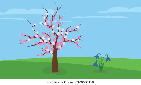 árbol rosa floreciente sobre hierba verde, flores