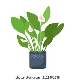 Blooming plant in pot semi flat color vector object. Full sized item on white. Home garden. Blossoming houseplant simple cartoon style illustration for web graphic design and animation