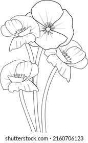 blooming poppy flower coloring page 