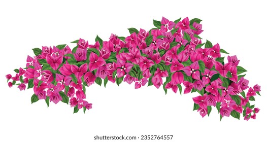 Blooming purple bougainvillea branch realistic illustration isolated at white background vector illustration svg