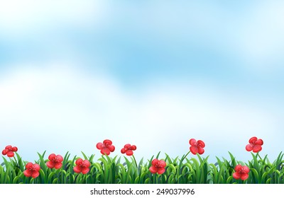 Blooming red flowers