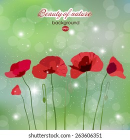 Blooming red flowers on abstract background